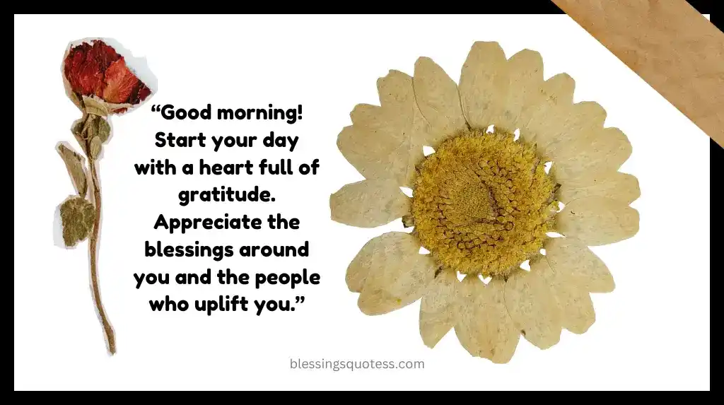 "80 Positive Good Morning Blessings for a Blessed Day"